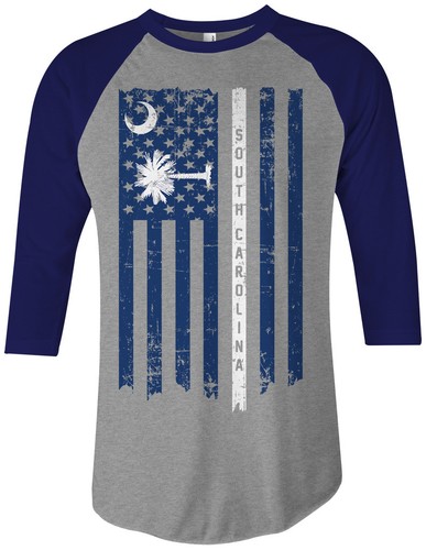 South carolina state american - south,