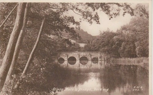 Dorking surrey the river - dorking,,