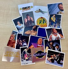 WWF 1991/1992 Merlin Stickers