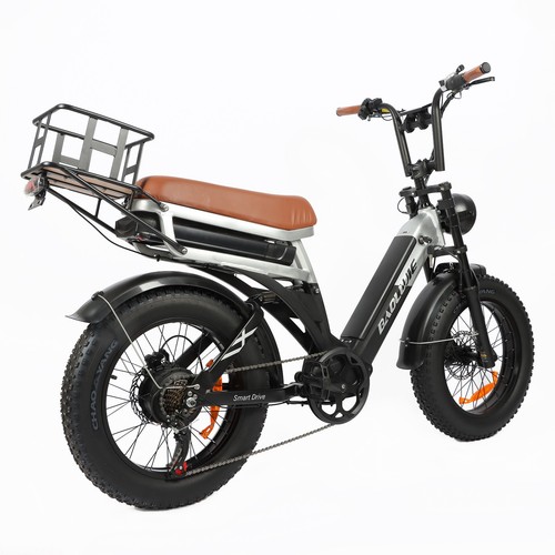 48v 30ah dual battery - 30ah,