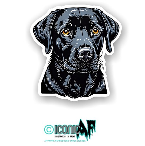 Black labrador pet puppy - pet,