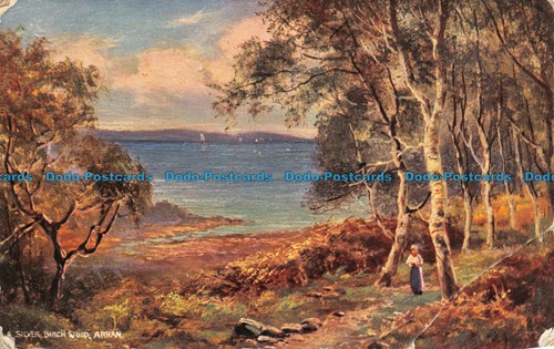 R119918 silver birch wood - silver,