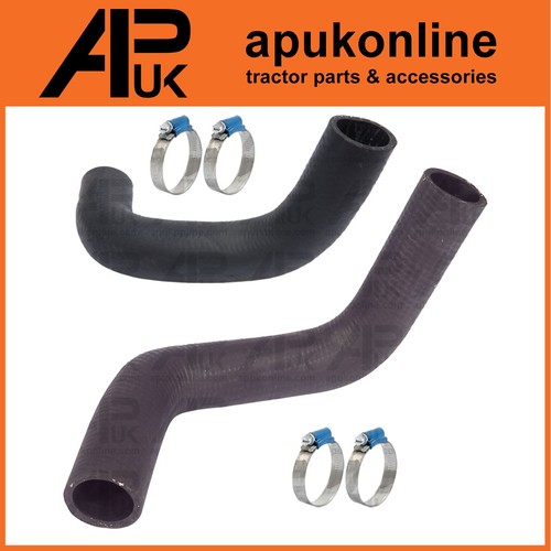 Radiator top bottom - radiator, hose
