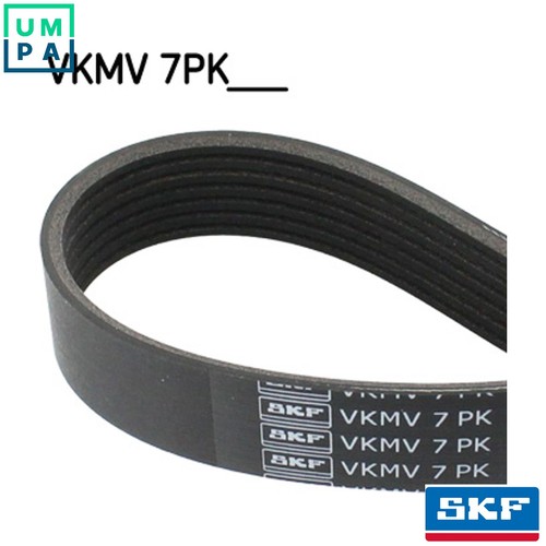 Vribbed belt vkmv - belt,