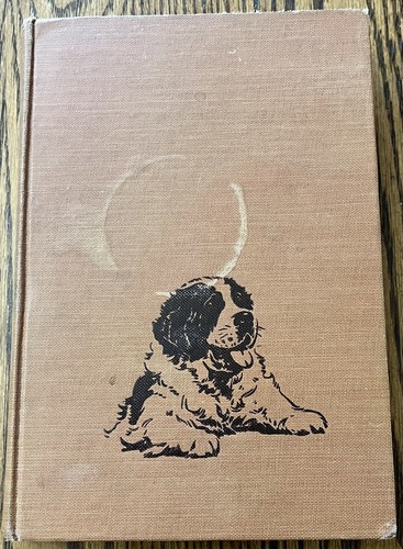 Lost dog jerry - , :
