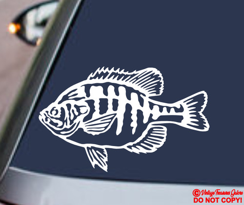 Bluegill vinyl decal sticker - decal,