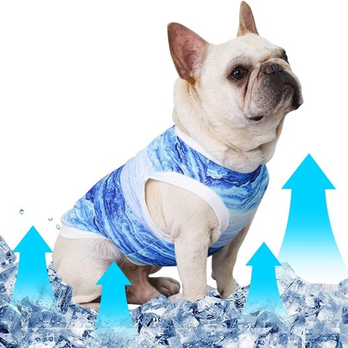 Dog cooling vest evaporative - dog,