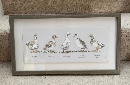 Laura ashley watercolour ducks - laura,