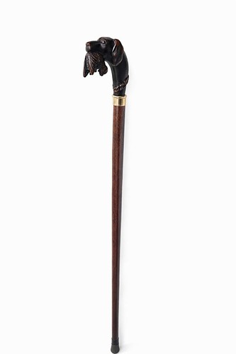 Elegant dog head walking stick - elegant,