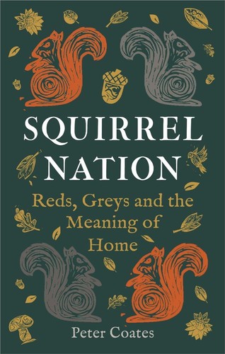 Squirrel nation reds - nation:, greys