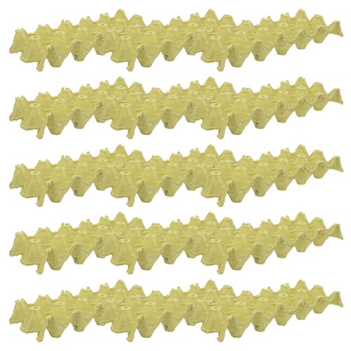 Pcs pulp fiber egg - fiber, flats