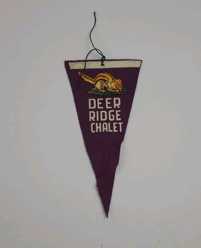 Vintage deer ridge chalet - deer,