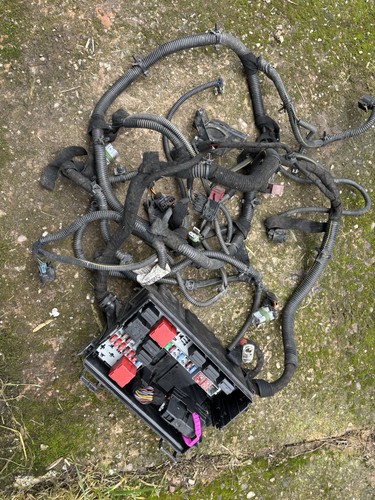 Corsa 2011 engine wiring - 1.2,