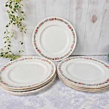 Vintage Paragon Belinda Dinner Plate. Quantity Available . 27cms / 10.5'