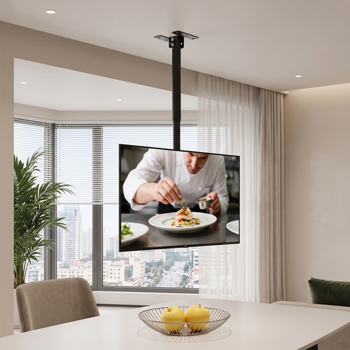Roof ceiling mount bracket - mount,
