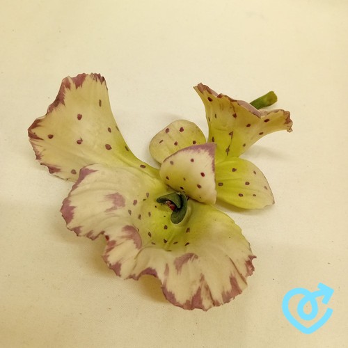 Capodimonte porcelain orchid - capodimonte,
