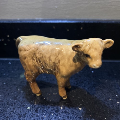 Beswick highland calf 1827d - highland, in