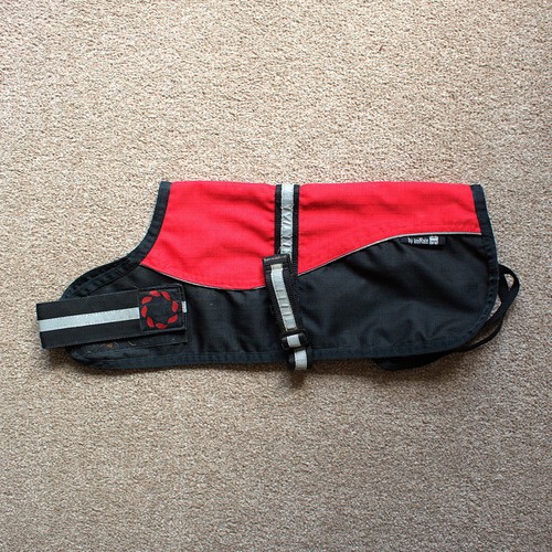 Black red animate - &,
