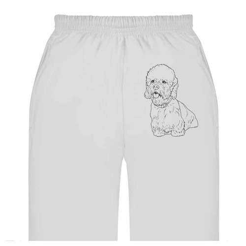 Dandie dinmont terrier adult - dinmont, terrier'
