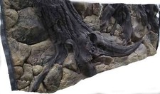 Aquarium backgorund juwel rio - backgorund,