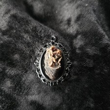 One of a Kind Mummified Crow