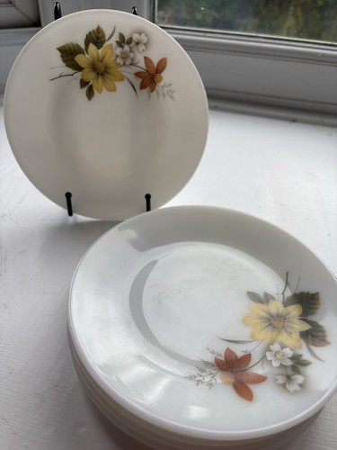 Pyrex jaj autumn - glory, of