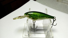 RAPALA, IRELAND==SHAD