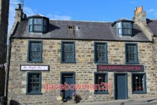 PHOTO  THE PURPLE FOX & CULLEN