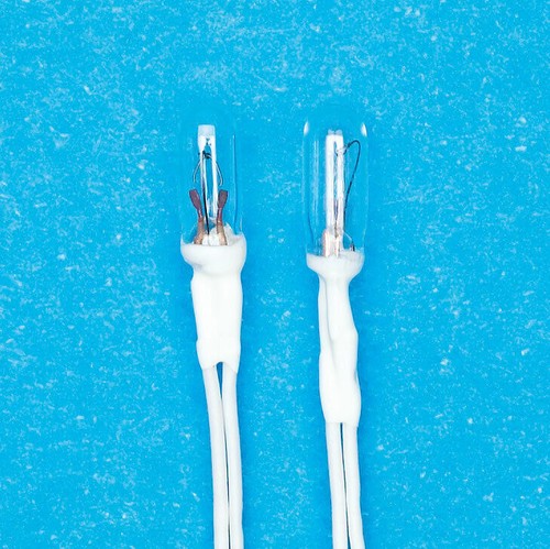 Grain wheat piece bulbs - of,