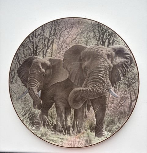 Royal doulton african - royal,