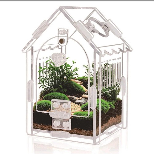Small reptile terrarium - small,