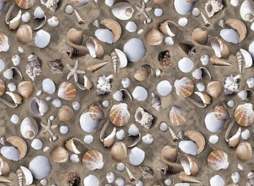 Sea shells sand - #sea, adhesive