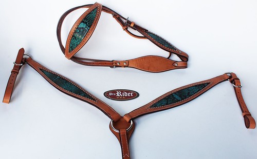 Horse tack bridle western - horse,