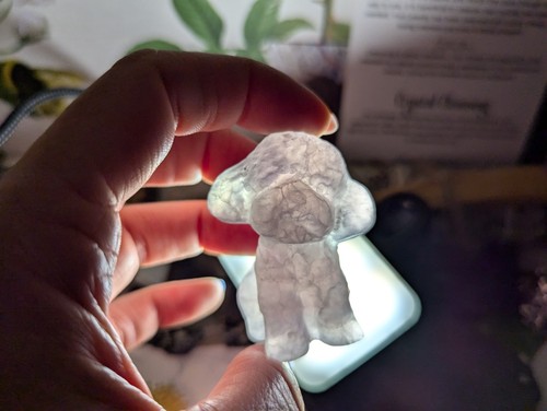 Very cute fluorite cockerpoo - very,