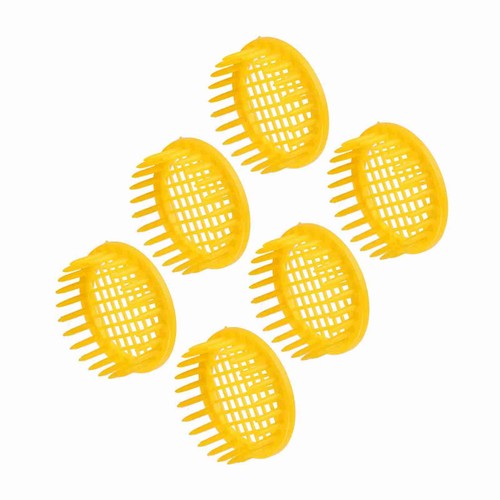 Pcs queen bee rearing box - rearing,