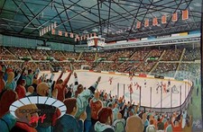 Sheffield Steelers Ice Hockey - Sheffield Arena Stadium Art Print