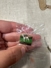 pennine foxhounds pin badge brand new 2006