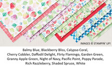 Stampin Up! 12” x 6” -  6