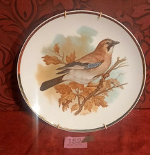 large Decorative Wall Plate featuring Robin gilt trim with wall hanger
