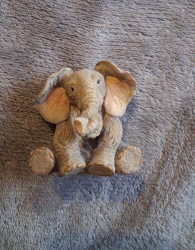 Tuskers collection paw prints - collection,