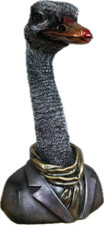 Stunning Large Emu Bust