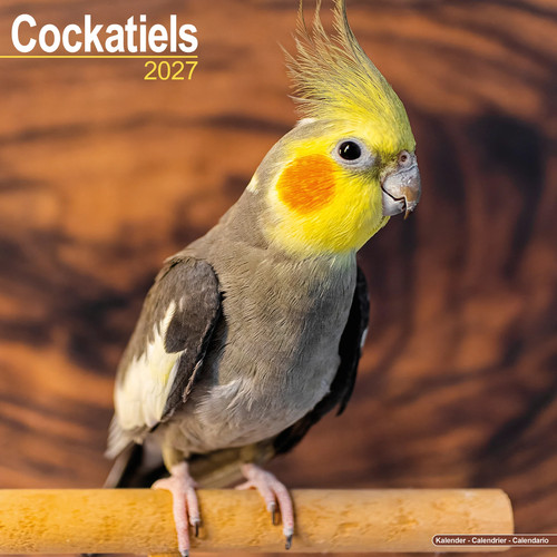 Cockatiels 2027 calendar - calendar, |