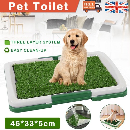 Pet dog toilet mat - dog,