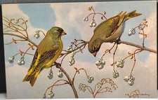 PC ~ European Greenfinches