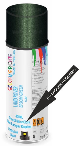 Aerosol paint spray direct - aerosol,