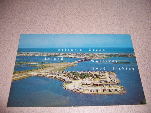 1950s sea bird island - bird,
