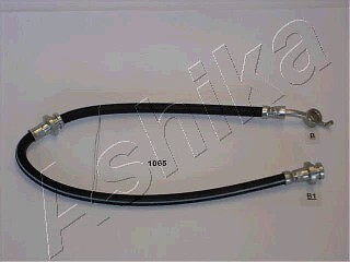 1065 ashika holding - 69-01-1065,