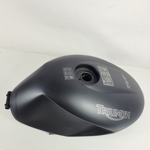 Triumph speed triple - triumph,