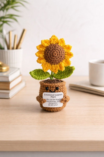 Crochet flower plant pot desk - plant,