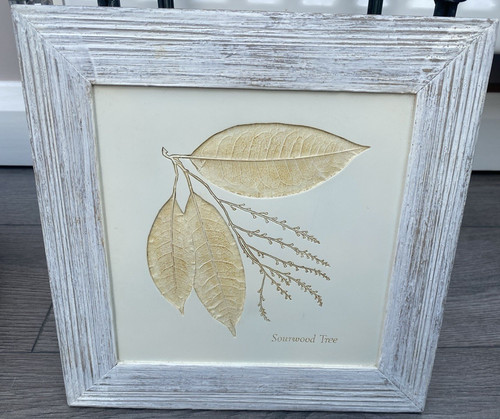 Hand painted sourwood tree - m&s,
